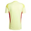 Maglia Aston Villa Portiere 2025-26 Gialla