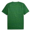 Maglia Manchester City Pre-Match 2025-26 Verde