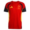 Belgio Mondiali 2026 Maglia da Allenamento Rossa