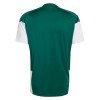 Italia Bambino Mondiali 2026 Maglia da Allenamento Verde