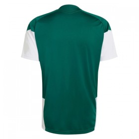 Italia Bambino Mondiali 2026 Maglia da Allenamento Verde