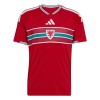 Maglia Galles Prima Divisa Mondiali 2026
