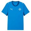 Maglia Islanda Prima Divisa Mondiali 2026 Maglia Islanda Prima Divisa Mondiali 2026