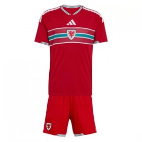 Maglia Galles Bambino Prima Divisa Mondiali 2026
