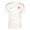 Maglia Galles Trasferta Divisa Mondiali 2026