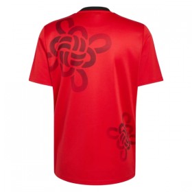 Maglia Manchester United Cultural Story 2025-26 Edizione Speciale