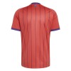 Maglia Scozia Trasferta Divisa Mondiali 2026