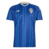 Maglia Svezia Trasferta Divisa Mondiali 2026 Maglia Svezia Trasferta Divisa Mondiali 2026