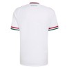 Maglia Ungheria Trasferta Divisa Mondiali 2026