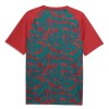 Maglia Portogallo Pre-Match Mondiali 2026 Rossa