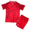 Maglia Haiti Bambino Terza Divisa Mondiali 2026