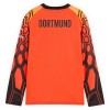 Maglia Borussia Dortmund Portiere Prima Divisa 2026-27 Arancia ML